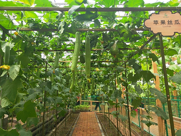 生态餐厅