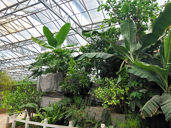 生态餐厅