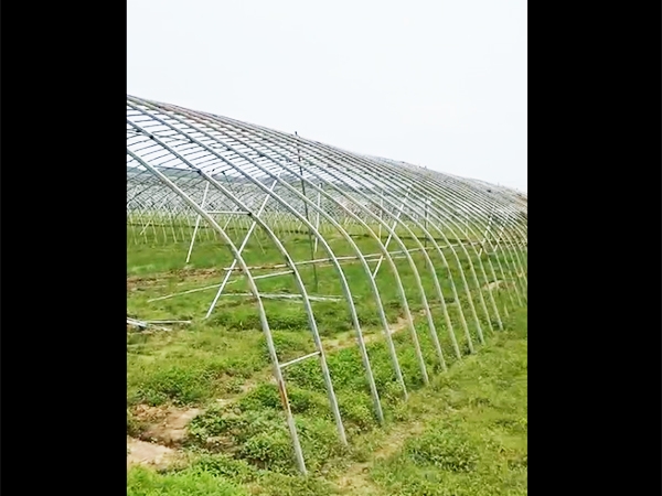 视频展示