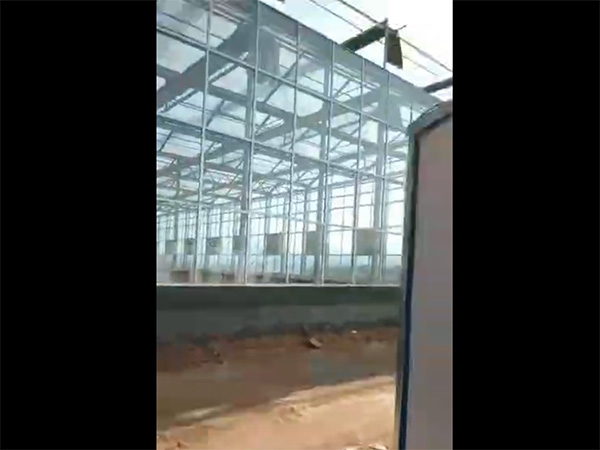 视频展示